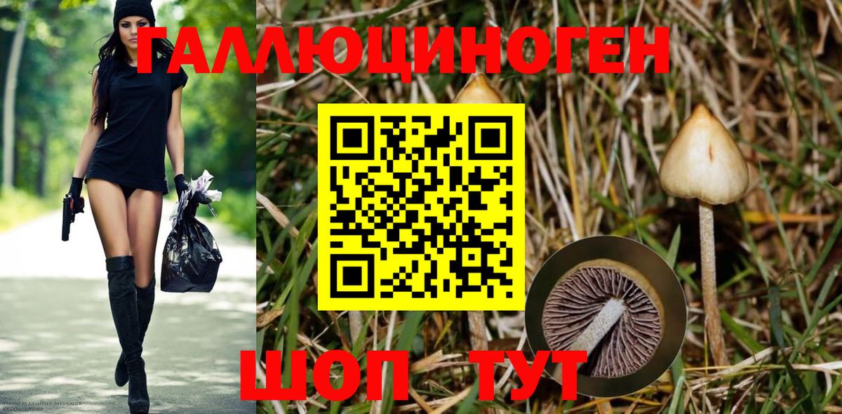 Нововоронеж  Галлюциногенные грибы мухоморы  наркота  Вход с VPN  Галлюциногенные грибы GOLDEN TEACHER 