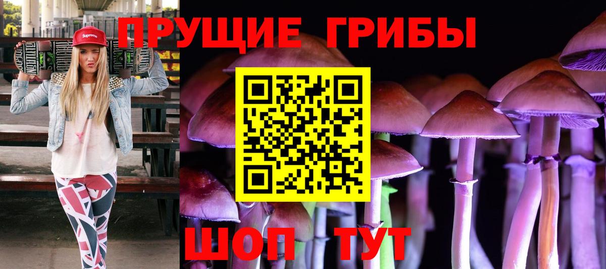Псилоцибиновые грибы Psilocybine cubensis Нововоронеж